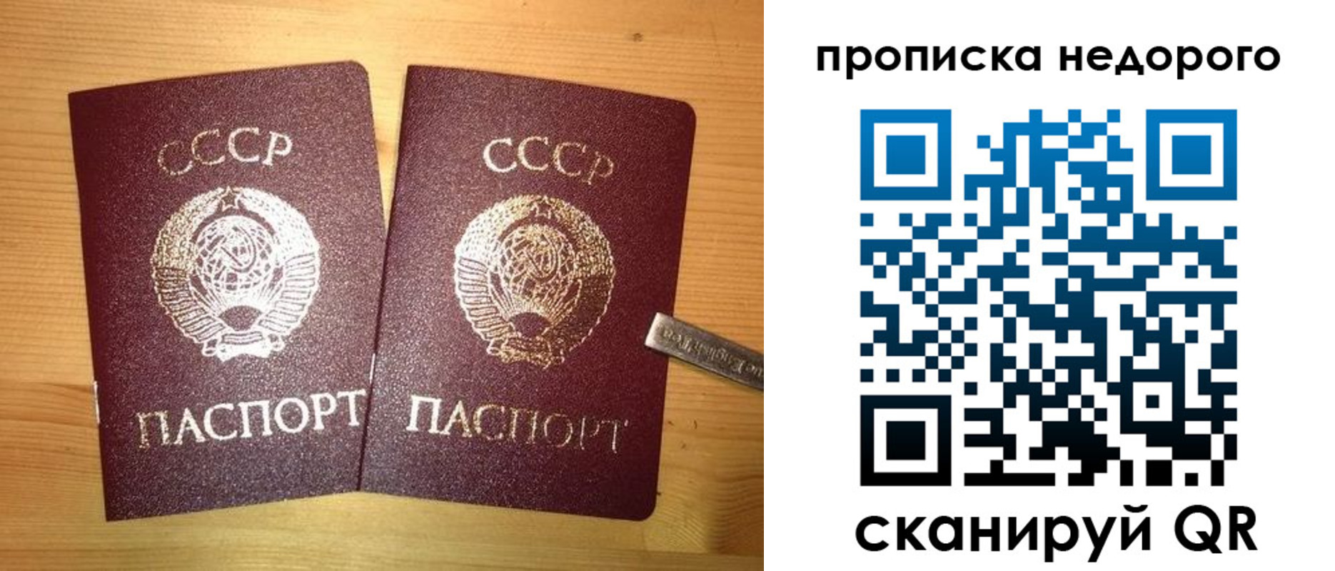 временная регистрация гарантия в Рубцовске